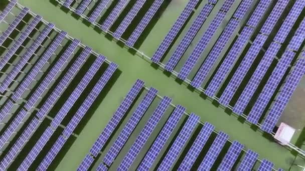 ηλιακοί συλλέκτες σε ένα πράσινο πεδίο, εναέρια άποψη - Πλάνα, βίντεο