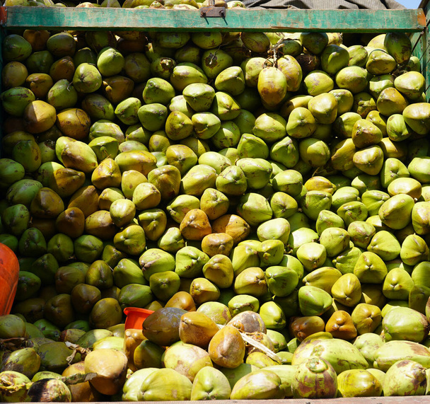 Зеленый кокос для продажи на рынке. - Фото, изображение