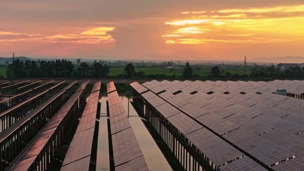 vista aerea della centrale solare. pannelli solari al tramonto - Filmati, video