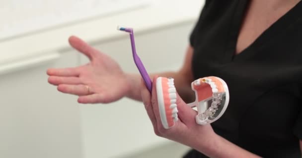 Dişçinin elleri yapay çene üzerinde dişleri fırçalama kuralını, tedavi sürecini ve dişlerin bakımını gösterir. Sağlık ve dişçilik kavramı. - Video, Çekim