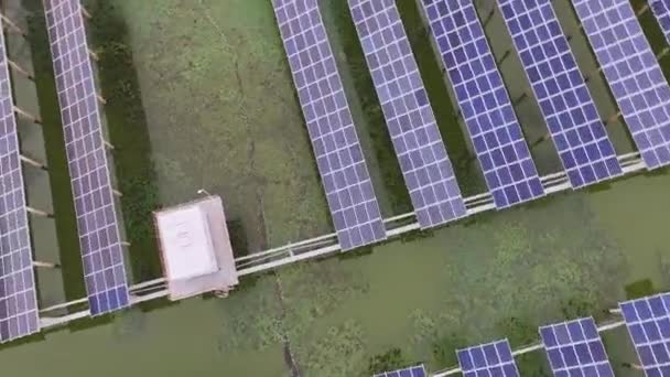 napelemek a tó vizére szerelve, légi felvétel - Felvétel, videó