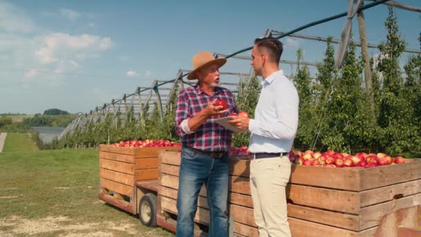 Kıdemli çiftçi ve satış temsilcisi elma bahçesinde dijital tablet üzerinde konuşuyor. 8K 'da kırmızı helyum kamerayla çekildi..   - Video, Çekim