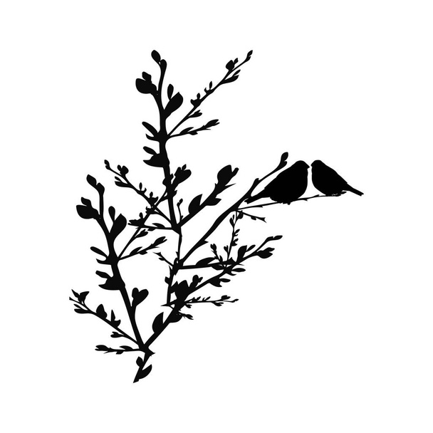Σιλουέτα πουλιών που κάθονται σε κλαδί δέντρου απομονωμένο σε λευκό φόντο. Πουλί ζευγάρι στο κλαδί. Δύο μικρά πουλιά στο δάσος ή στον κήπο. Εικόνα διανύσματος αποθέματος - Διάνυσμα, εικόνα