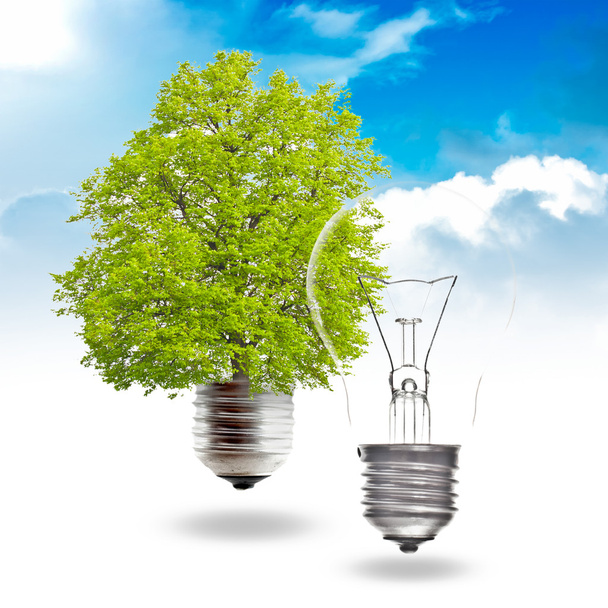Green energy concept - Photo, Image