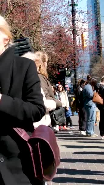 kancelářské budovy ulice na Burrard Station lidé spěchají do práce trolejbusové taxi semafory. muži a ženy přes ulici dostat do městské hromadné dopravy život Kanada Vancouver 12.04.2023 - Záběry, video