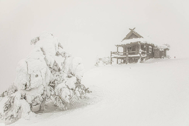 Télapó kunyhója a ködös téli napon. Finnország a hóviharban. Gyönyörű táj fehér hó. - Fotó, kép