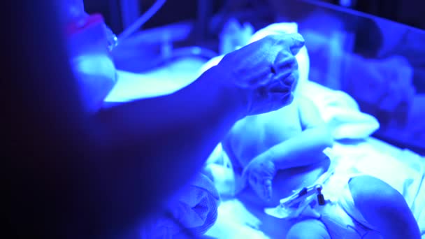 Lékařský pracovník krmení předčasné dítě s trubicemi připojené v moderním inkubátoru při práci v nemocnici - Záběry, video