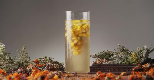 Frische gelbe Blume rotiert in Süßwasser auf einem Tisch mit Frühlingsblumen bedeckt - Filmmaterial, Video