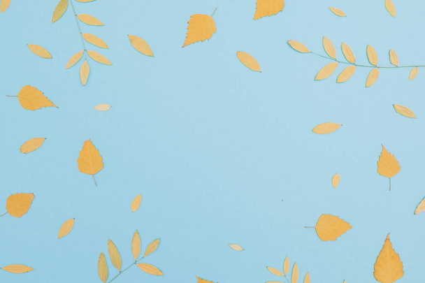 青い背景に秋の葉で作られたコピースペースを備えた秋の構成. フラットレイ,トップビュー。 感謝祭の日. - 写真・画像