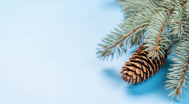 Mavi arkaplan üzerinde Noel ağacı dalı ve selamlama metni için boşluk - Fotoğraf, Görsel