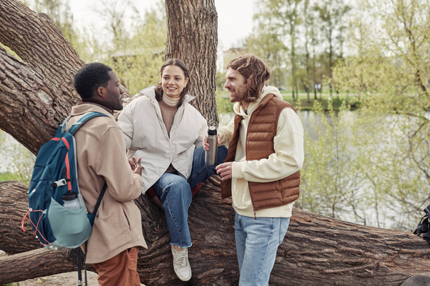 Grupo de amigos hablando y tomando té del frasco relajándose en un gran árbol durante su picnic en el parque - Foto, Imagen