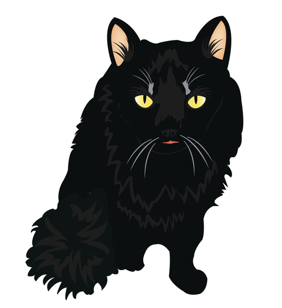 Black cat - Vetor, Imagem