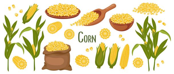 Set of corn grains and spikelets. Corn plant, Sweet corn, corn cobs, corn grains in a plate, spoon and bag. Agriculture, food icons, vector - Vector, Image