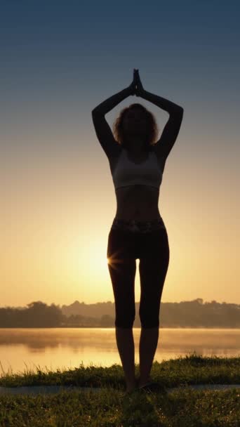 Yoga ve meditasyon yoluyla doğayla olan bağlantıyı derinleştiriyor. Bir kadın hayattaki uyumu sağlamak için yoga yapar. Vücut ve Ruh için Yoga: Tüm Seviyelerde Kendini Geliştir. Dikey Video - Video, Çekim
