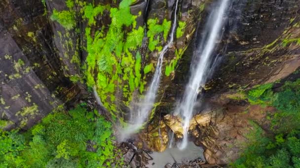 Waterval in een tropisch bos. Luchtfoto van Diyaluma Falls, Sri Lanka. - Video