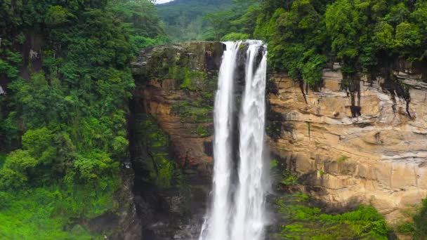 Водопад в зеленом лесу. Водопад Лаксапана в джунглях. Шри-Ланка. - Кадры, видео