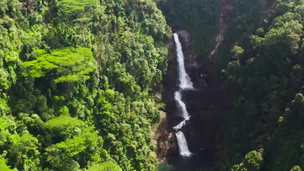 Водопад в зеленом лесу. Водопад Шри Пада в джунглях. Масфелия, Шри-Ланка. - Кадры, видео
