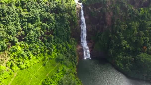 Beautiful waterfall in the mountains among the jungle. Gartmore falls. Maskeliya, Sri Lanka. - Footage, Video
