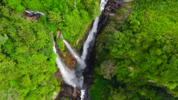 Waterfall in the rainforest, jungle. Aerial drone of Puna Ella Falls, Sri Lanka - Footage, Video