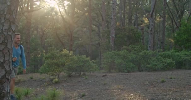 Seuranta laukaus kypsä mies rento vaatteita reppu ja kävelykeppi vaellus vihreässä metsässä päivällä - Materiaali, video