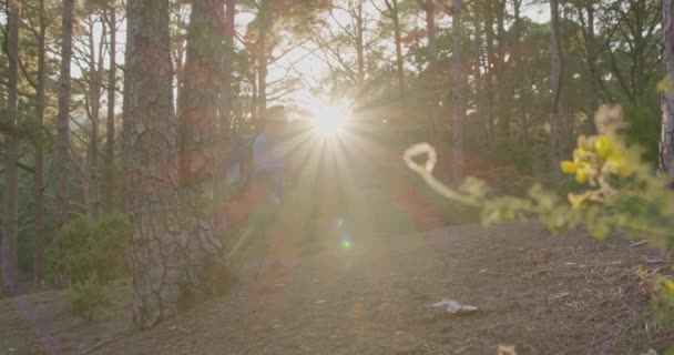 Plan de suivi de l'homme mature en vêtements décontractés avec carte et bâton de marche randonnée dans les bois verts pendant la journée - Séquence, vidéo