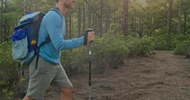 バックパックでカジュアルな服で成熟した男性の追跡ショットと昼間の緑の森林でウォーキングスティックハイキング - 映像、動画