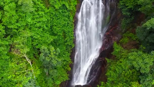 Waterfall in the jungle. Mohini Falls in the rainforest. Sri Pada, Sri Lanka. - Footage, Video