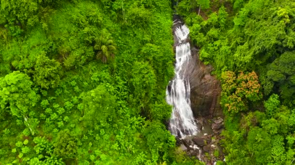 Beautiful waterfall in the rainforest view from above. Kuda Falls, Sri Lanka. - Footage, Video