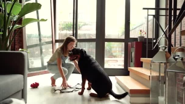 Feliz joven mujer con perro de compañía en casa - Imágenes, Vídeo
