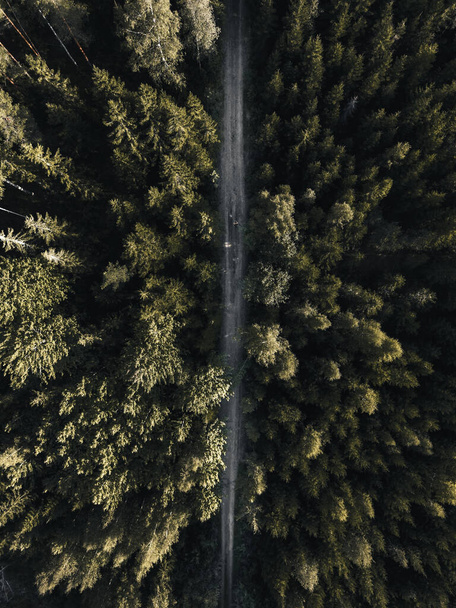 Boreal Ormanı 'nın ortasında çakıl yolu. Yukarıdan aşağıya doğru. Hava fotoğrafı. - Fotoğraf, Görsel