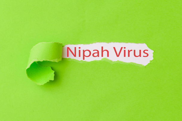 Message Nipah Virus.Torn craft paper texture background. Nipah virus words on green paper with the cause of disease. - Photo, Image