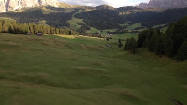 Ruhige Luftlandschaft eines kleinen Dorfes auf einem grünen, grasbewachsenen Hügelhang in der Nähe üppiger Nadelbäume in den malerischen Dolomiten in Italien - Filmmaterial, Video