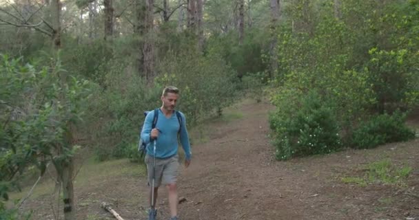 Tracking shot van volwassen man in casual kleding met rugzak en wandelstok wandelen in het groene bos overdag - Video