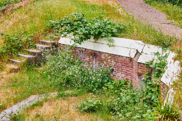 Image of Concrete steps in field with trail and partial and destroyed red brick wall overgrown with flowers - Photo, Image