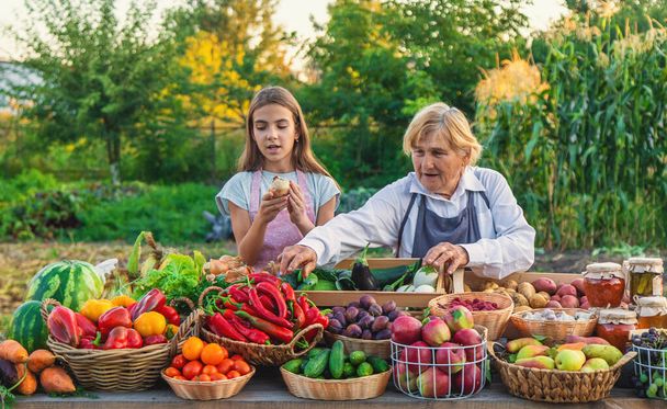 Großmutter und Enkelin verkaufen Gemüse und Obst auf dem Bauernmarkt. Selektiver Fokus. Lebensmittel. - Foto, Bild