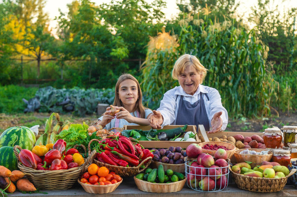 Grootmoeder en kleindochter verkopen groenten en fruit op de boerenmarkt. Selectieve focus. levensmiddelen. - Foto, afbeelding