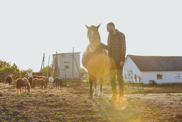 Un joven agricultor trabaja con caballos en la granja. - Foto, Imagen