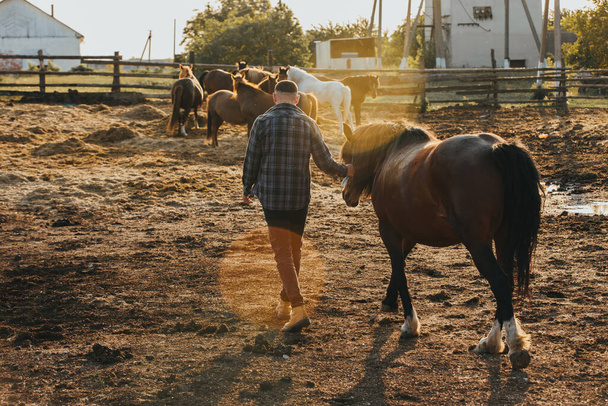 Le fermier conduit le cheval à l'écurie après le travail. Coucher de soleil, concept de travail manuel. - Photo, image