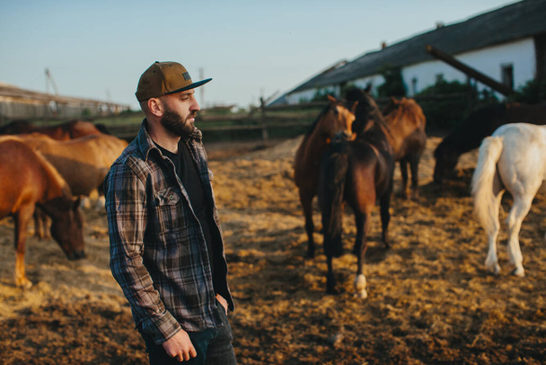 Młody rolnik w pobliżu stada koni na farmie. Portret brodatego młodzieńca na tle koni o zachodzie słońca. - Zdjęcie, obraz