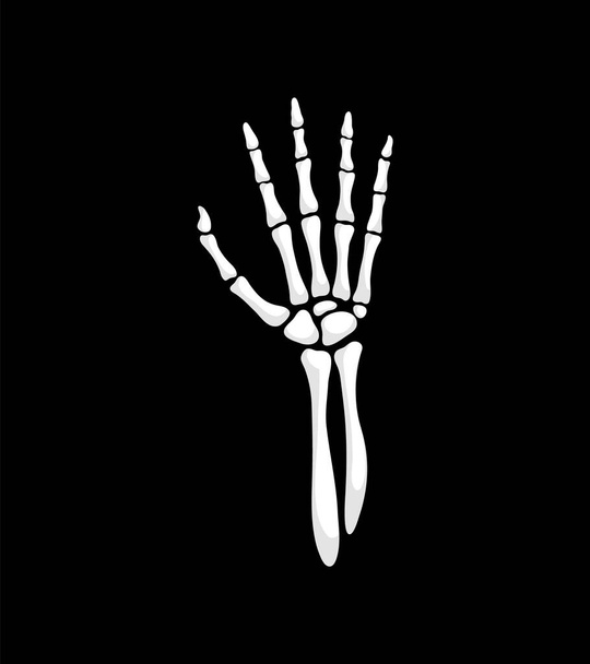 Ручний жест скелета, ізольована векторна відкрита кісткова долоня. Скелетна рука з довгими тонкими пальцями, що виходять. Макабре нагадування про смертність, яскраву анатомічну структуру для Хеллоуїна або медичного дизайну - Вектор, зображення
