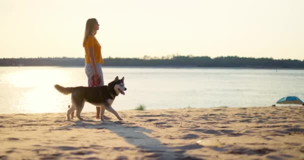 Молодая женщина наслаждается вечерней прогулкой со своей собакой на пляже летом. Высококачественные 4k кадры - Кадры, видео