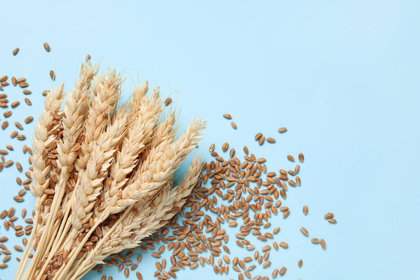 青い背景に穀物が付いている小麦の耳 - 写真・画像