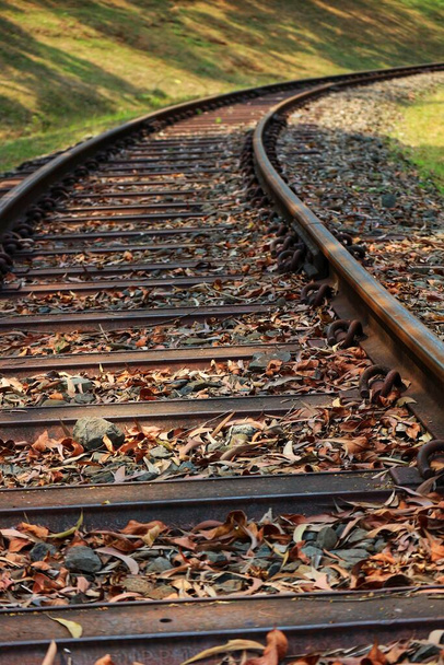 Niska perspektywa torów kolejowych na obszarach wiejskich. Wykonane ze stali i drewna, ze żwirem pod spodem. - Zdjęcie, obraz