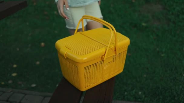 Крупним планом молода дівчина рука з жовтим пластиковим кошиком для пікніка проходить через лісовий парк в пошуках місця для пікніка. Сонячні промені падають на зелену літню траву. Високоякісні FullHD кадри - Кадри, відео
