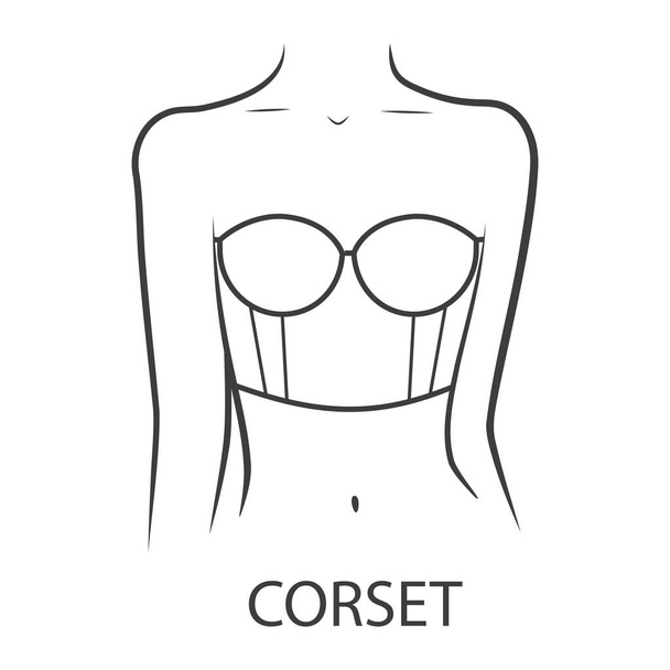 Reggiseno corsetto sul corpo di una donna. Illustrazione vettoriale su sfondo bianco - Vettoriali, immagini