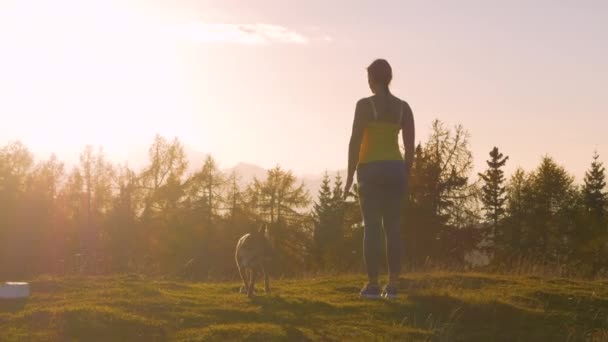 Zárd be, LENS FLARE: Sportos nő egy kutya csodálja naplemente a füves csúcs. Megállította magát, hogy bevegye az arany őszi nap utolsó sugarainak gyönyörű pillanatát, mely az alpesi tájra süt.. - Felvétel, videó