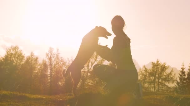 SILHOUETTE, LENS FlaRE: bir sonbahar günü gün batımında bir dağın tepesinde köpeğini kucaklayan sevgili sahibi. Neşeli bayan ve onun mutlu köpeği, altın güneş ışığıyla aydınlatılmış şefkat gösteriyorlar.. - Video, Çekim