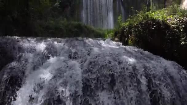 Van onder de waterval onder de bomen op een zonnige dag - Video