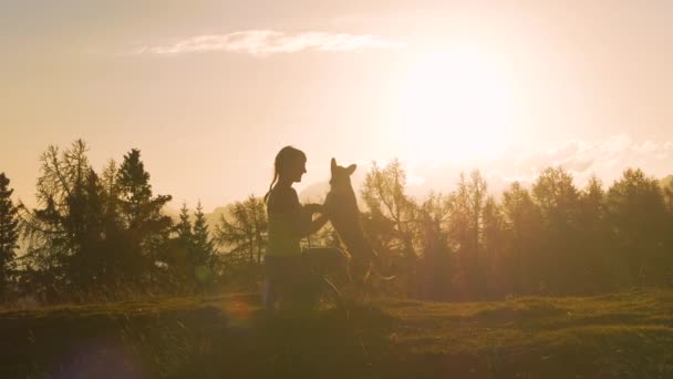SILHOUETTE, LENS FLARE: Adorable moment between a happy dog and a loving owner. Doggo with wagging tail and playful young woman on top of a picturesque mountain in magnificent autumn sunset light. - Footage, Video