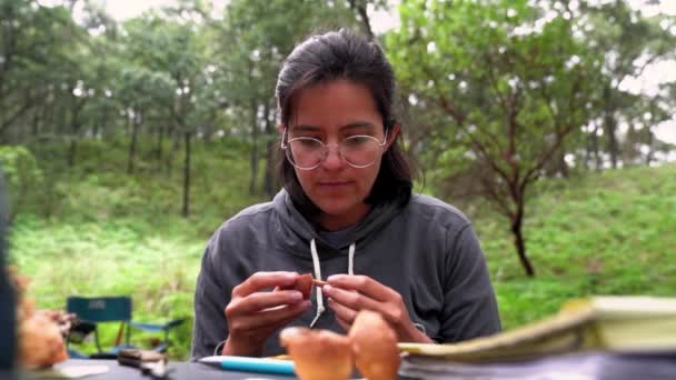 Micólogo femenino concentrado en anteojos que huelen a Boletus pinophilus comestible mientras recoge setas en el bosque - Metraje, vídeo